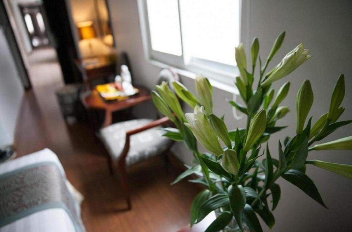 Skylark Boutique Hotel Ханой Экстерьер фото